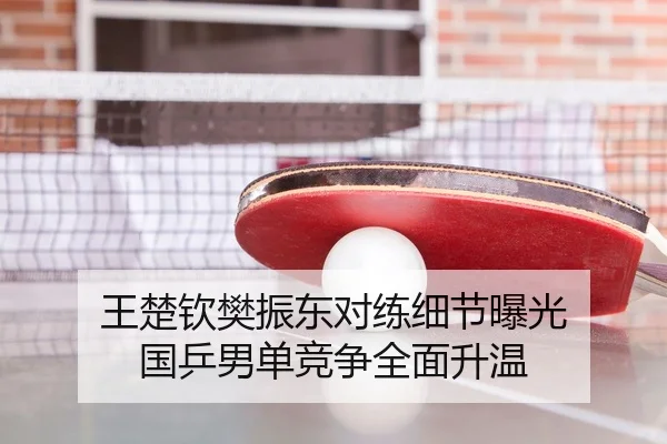 王楚钦樊振东对练细节曝光 国乒男单竞争全面升温